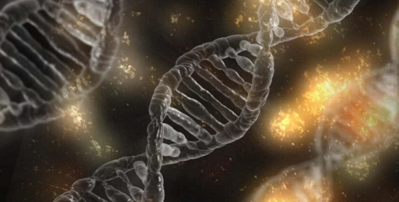 Can your genes tell you what to eat?
