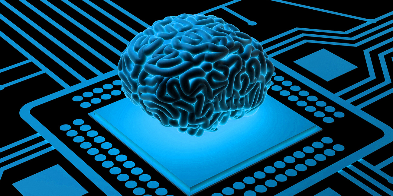 Brain Love