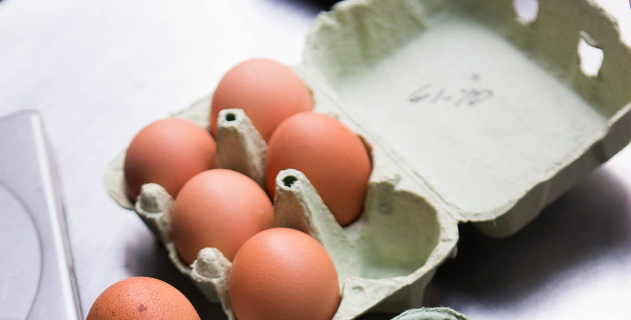 Sizing Up Eggs