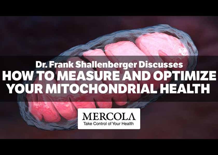 How to Measure and Optimize Your Mitochondrial Health