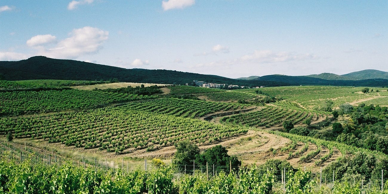 Quintessentially Quaffable Wines: Languedoc-Roussillon 