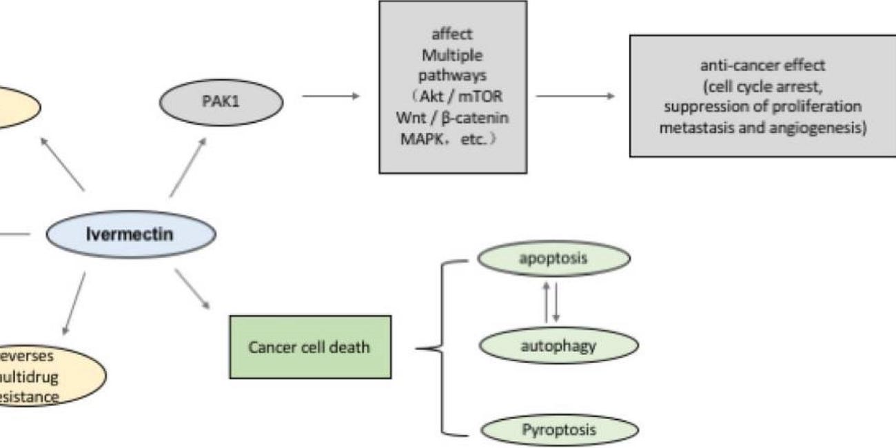 It is time to rework the chemical formula of "Ivermectin" for Cancer applications