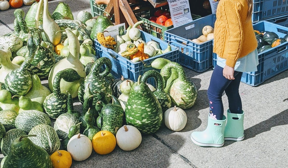 Family Rhythms for Autumn