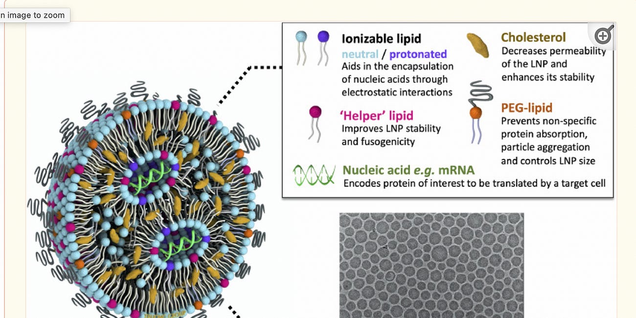 Lipid Nanoparticles: Are They Subtly Changing Human Beings?
