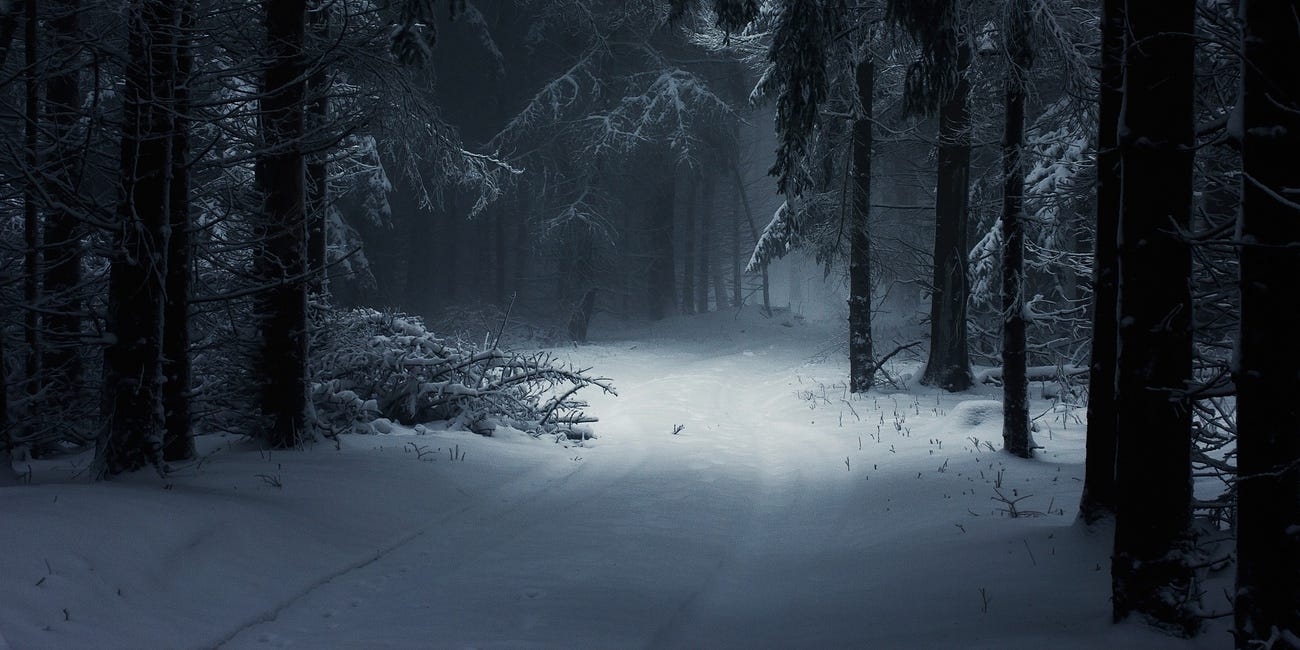 Beyond the Lines: “Stopping by Woods on a Snowy Evening”