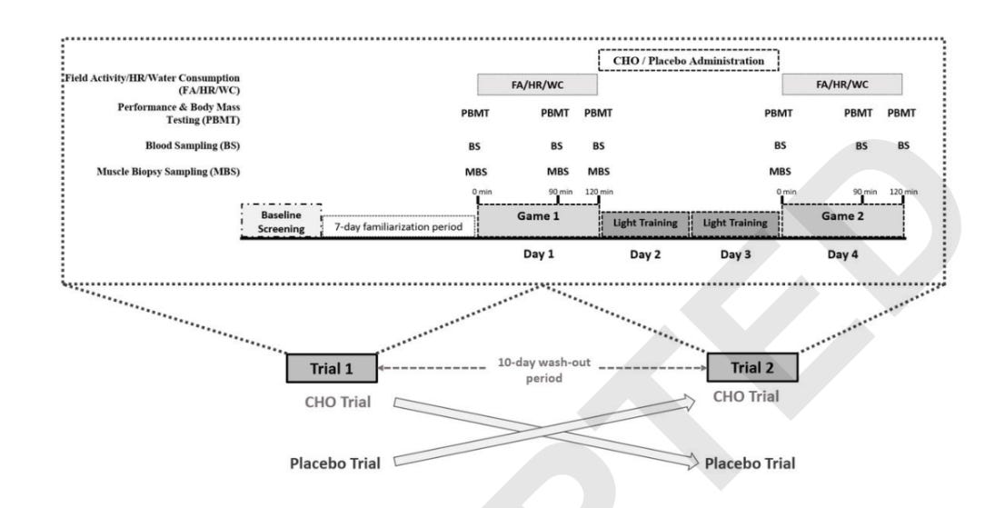 ⭐⚽ Upside Research: Extended Match Time Exacerbates Fatigue and Impacts Physiological Responses in Male Soccer Players