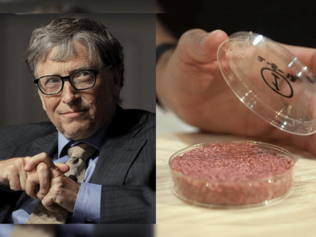 Bill Gates is quietly carrying out a sinister plan to force you to eat Fake Meat