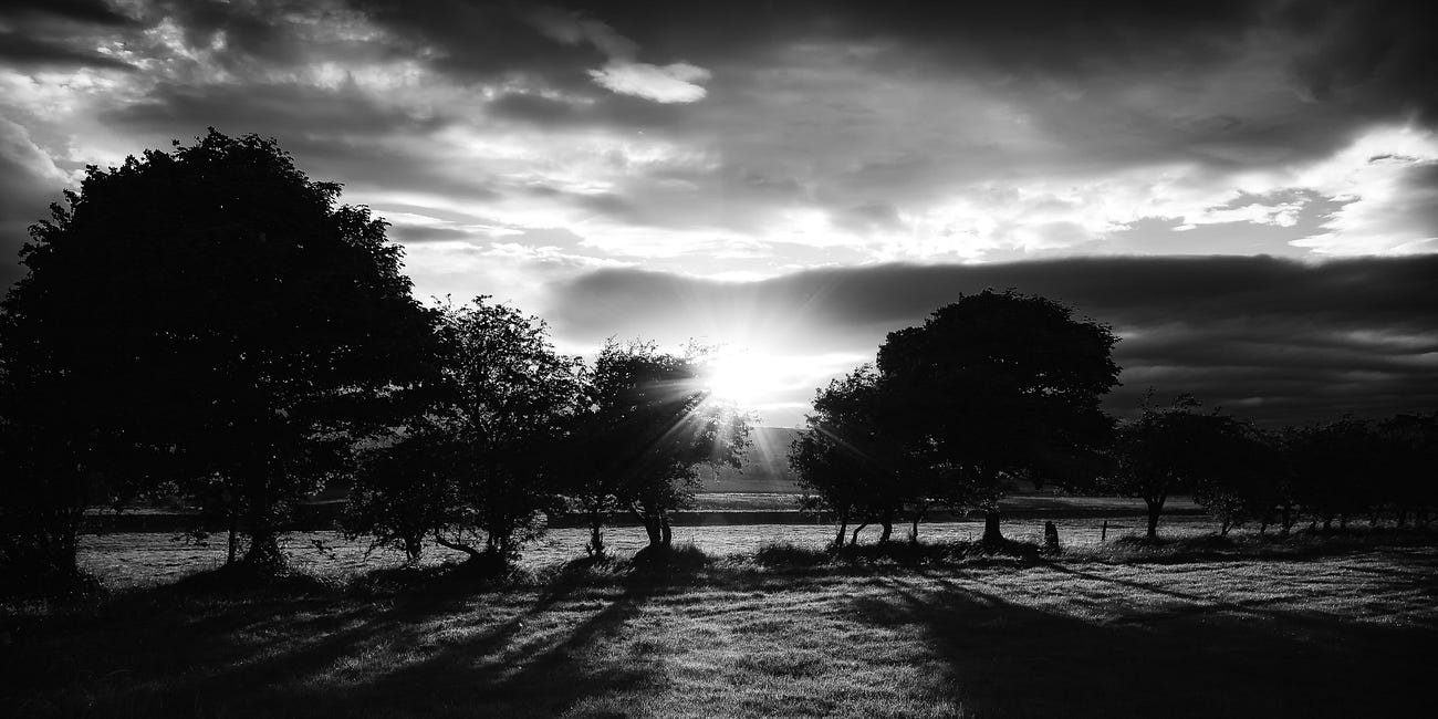Beyond the Frame 44/