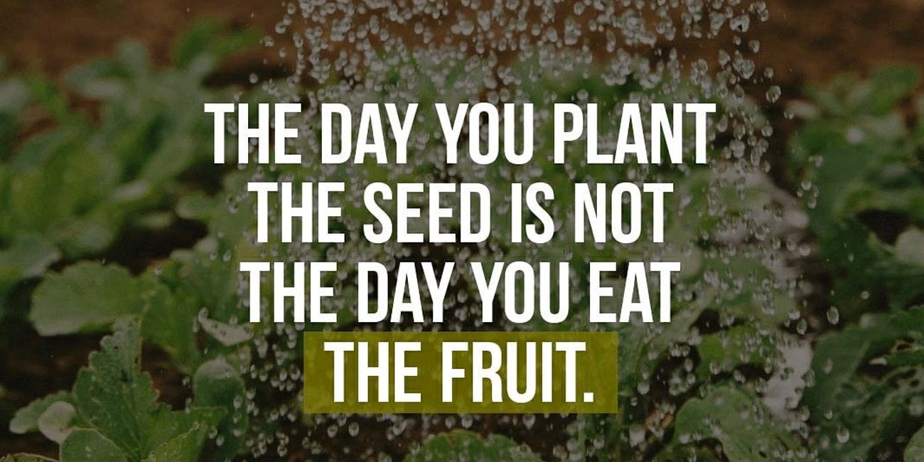The Day You Plant The Seed Is Not The Day You Eat The Fruit