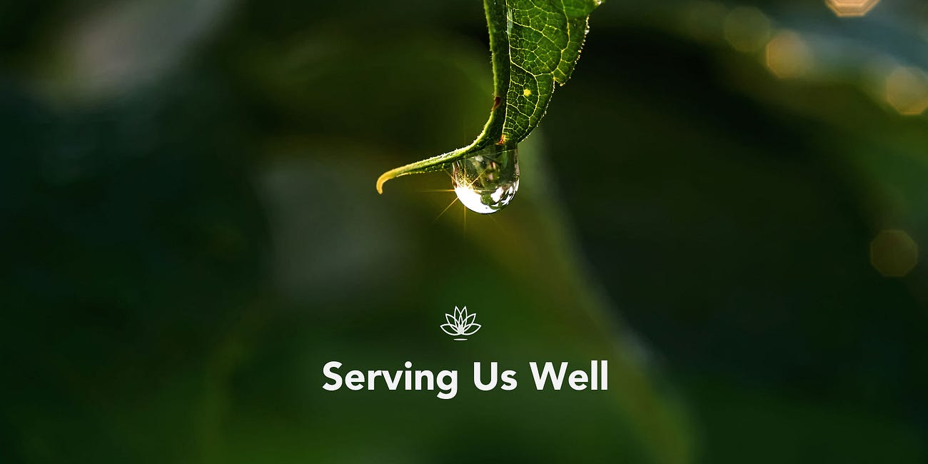 Serving Us Well