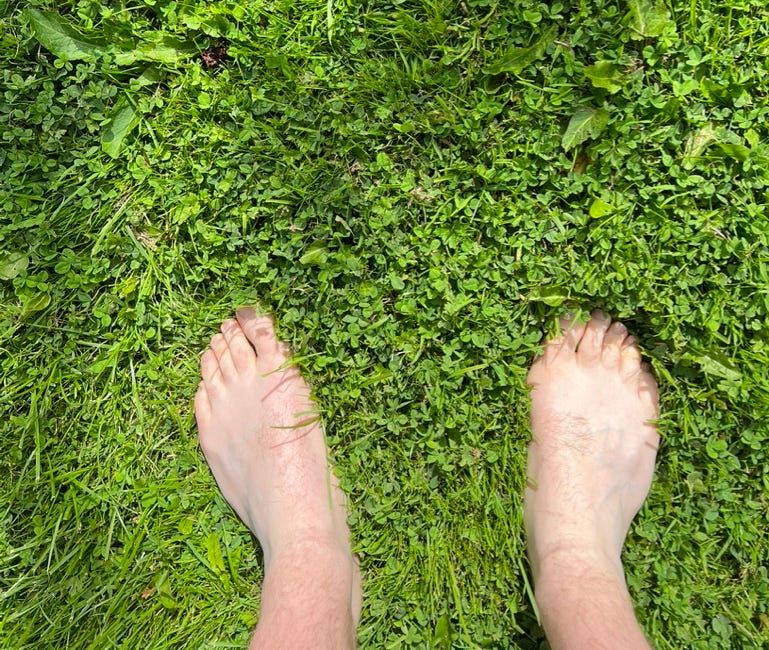 Lazy living lawn