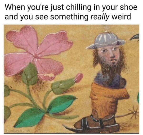 MEME DROP #301: When You’re Just Chilling In Your Shoe 