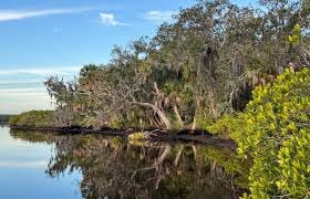 Manatee County Invites Public Input on Future Crooked River Preserve