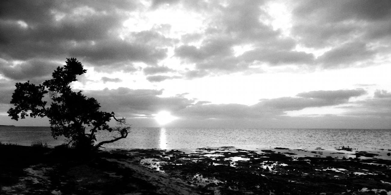 If you lost your mind you'll find it in Key West