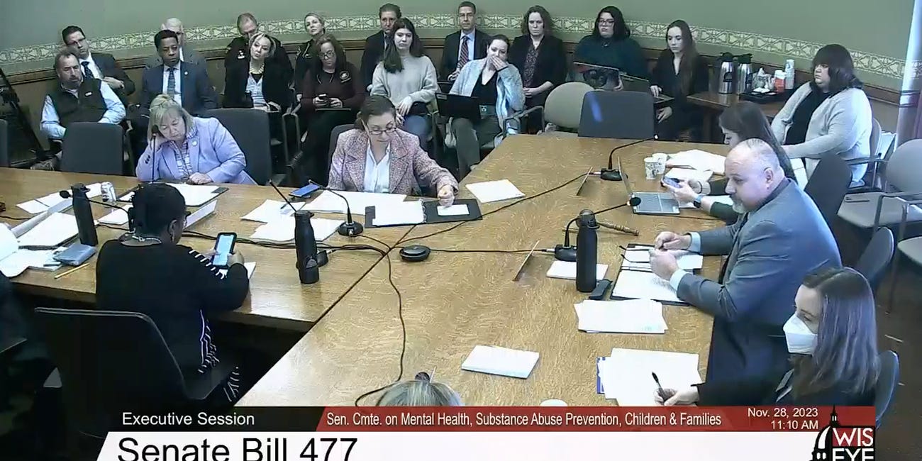 Wisconsin Senate Committee takes its turn advancing anti-nudity legislation