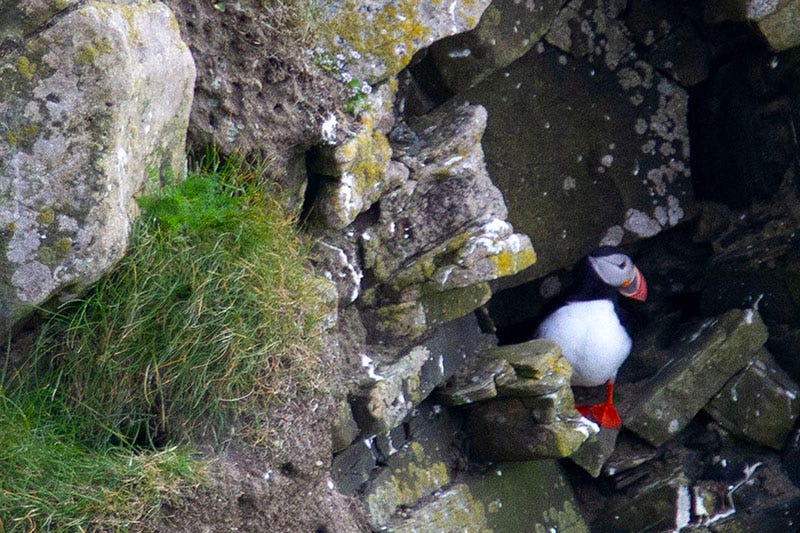 Travel guide to the Shetland Islands