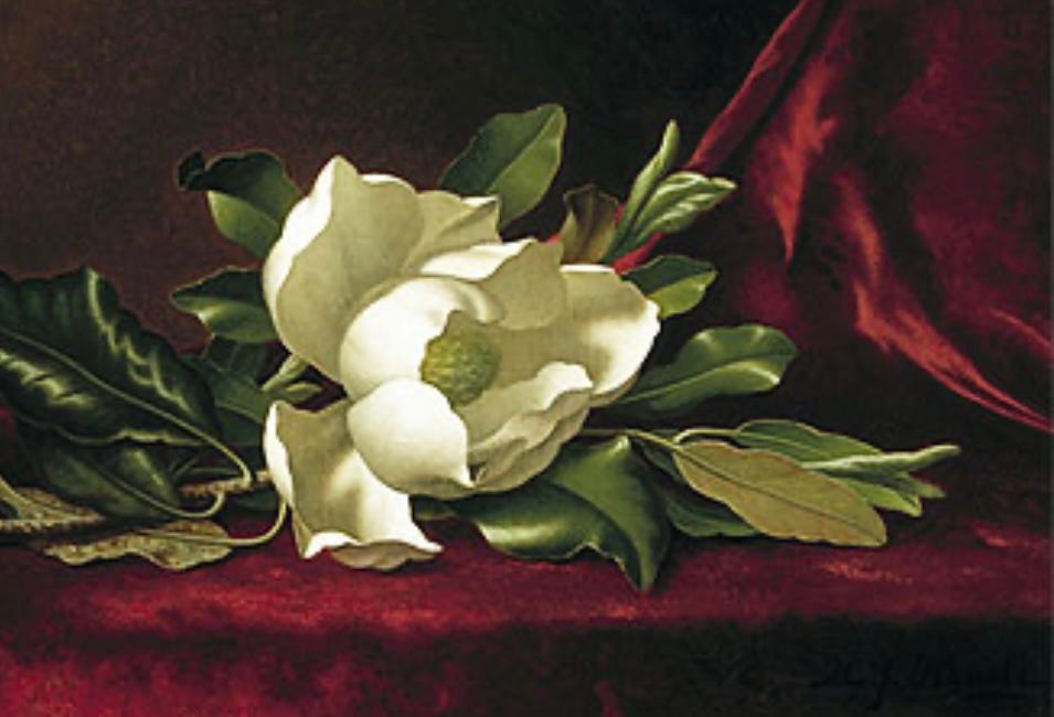 Of Magnolias and Miscarriage