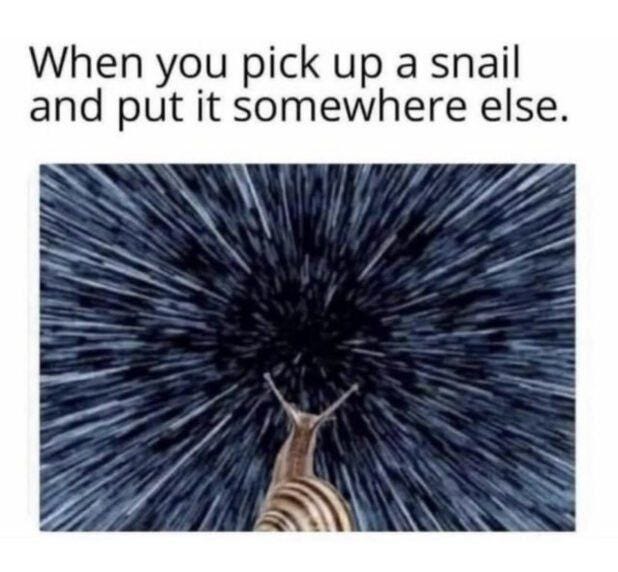 MEME DROP #162: When You Pick Up A Snail