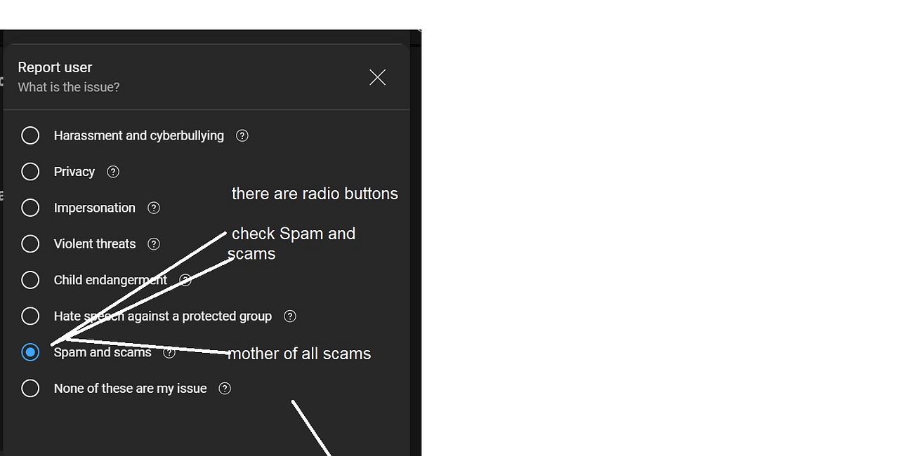 Digital Extortion: How Gen Z Hackers Swindled Thousands from SilverAcademy Journalist