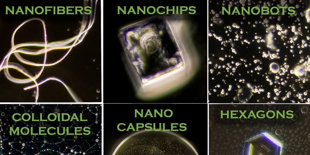 The Usual Suspects: A Field Guide to Common Nanos under the Microscope