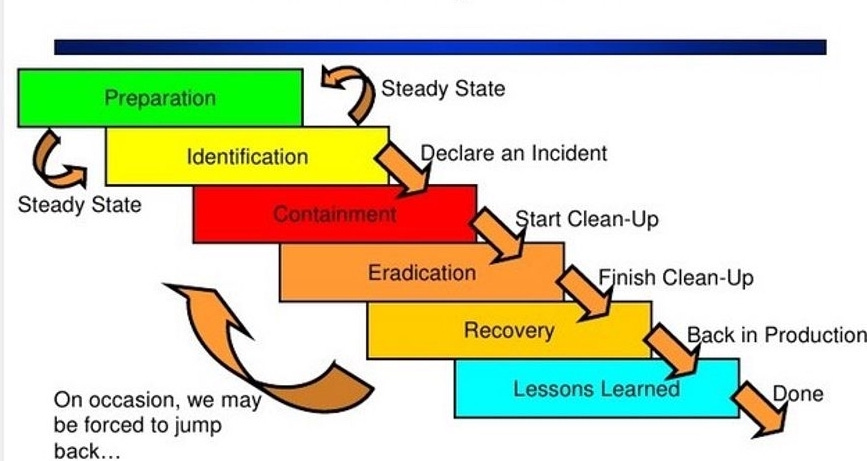 Cybersecurity Career Path: Detection and Response
