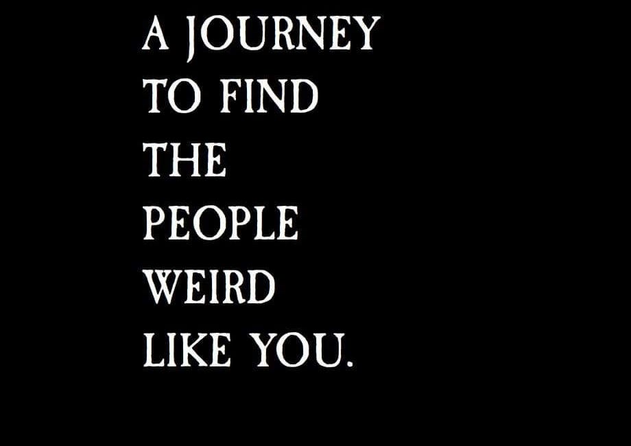 Life Is A Journey To Find The People Weird Like You