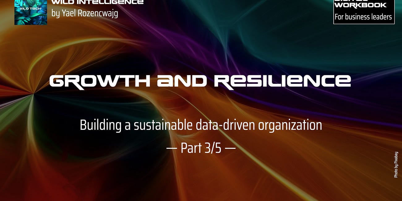 Workbook: Building a sustainable data-driven organization, part 3