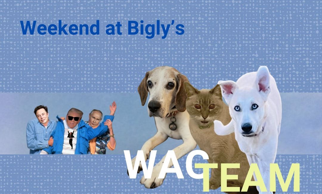 Weekend at Bigly's