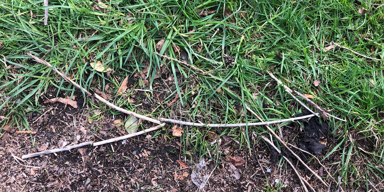 A Pandemic Era Wicked Twig Spell