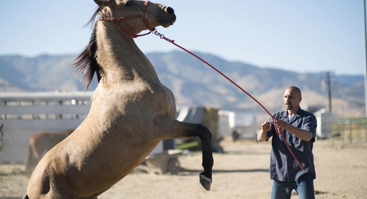 The parable of, "Breaking the horse"