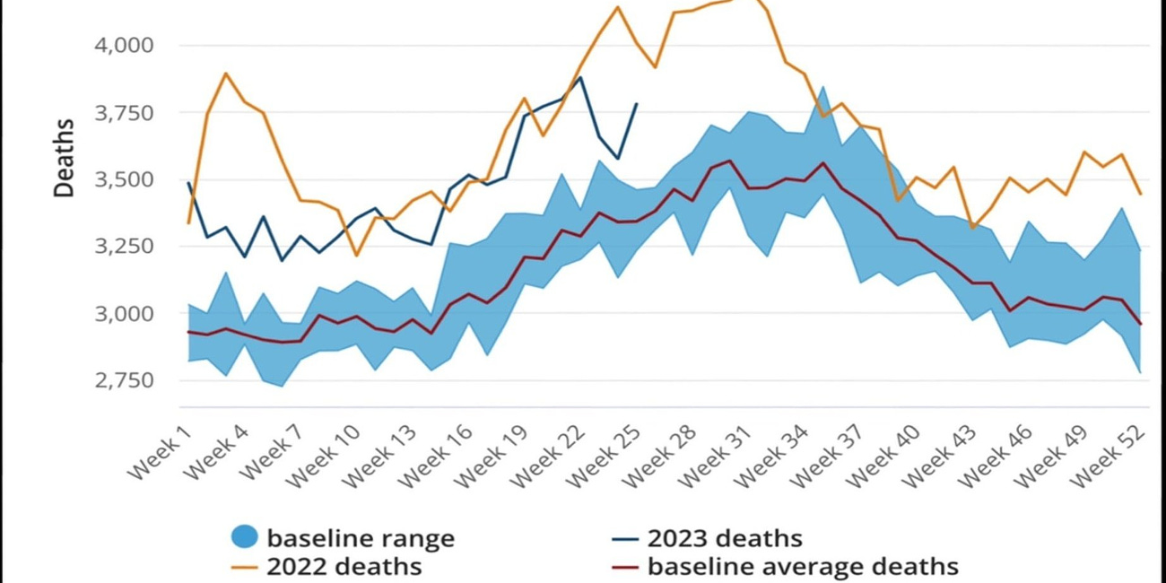 Excess Mortality Australia Inquiry Submissions available for Download