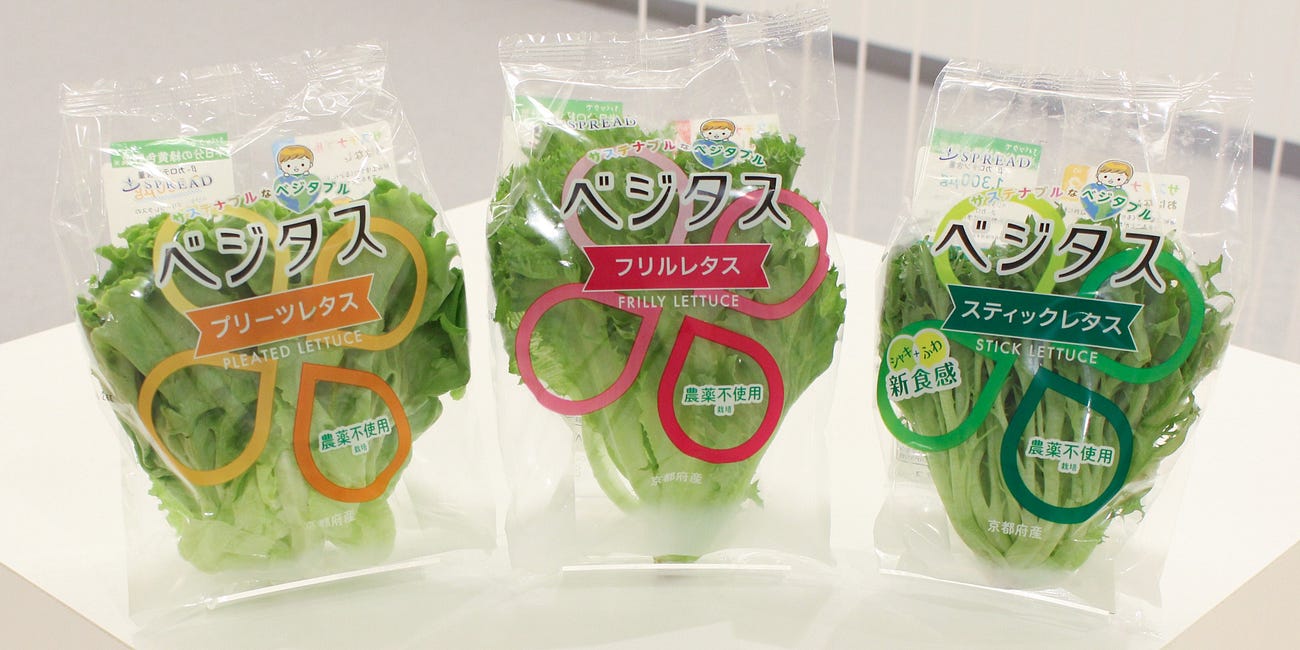 Japan's Vertical Farming: Rising High With Local Innovators
