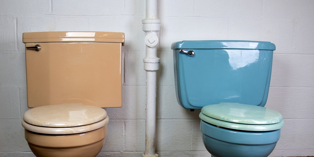 Manatee County Offers Residents Up to $200 to Upgrade to Water-Saving Toilets