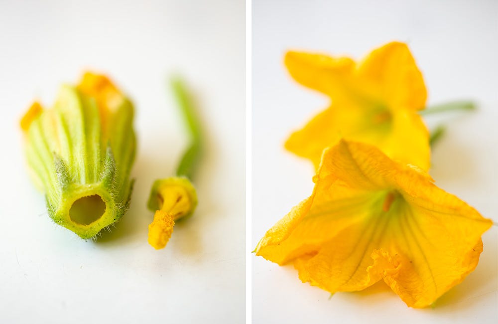 Courgette blossoms | part one