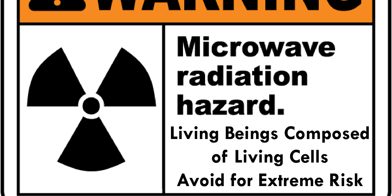 Further Thoughts On Microwave Radiation 