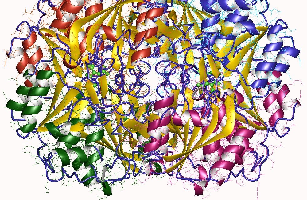 Endotoxin Contamination of Asparaginase Jabs