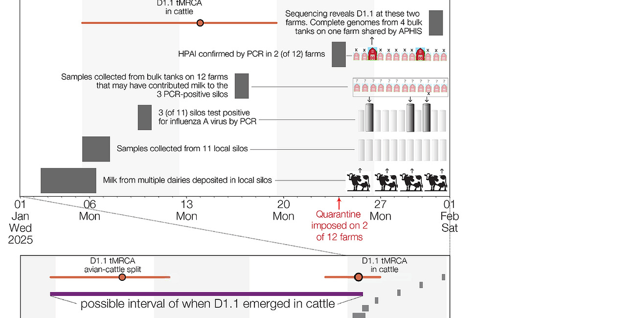 H5N1 Genotype D1.1: Understanding Its Evolution, Risks, and Public Health Solutions