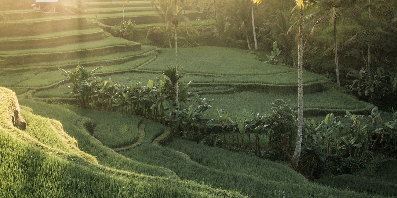 Impressions from the road - Bali 