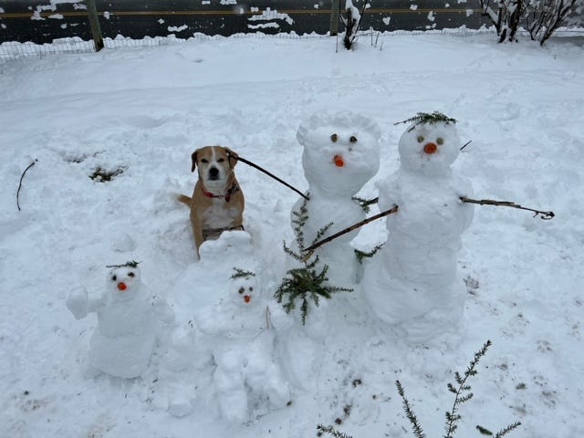 The Sno-mies are moving in to Norwich