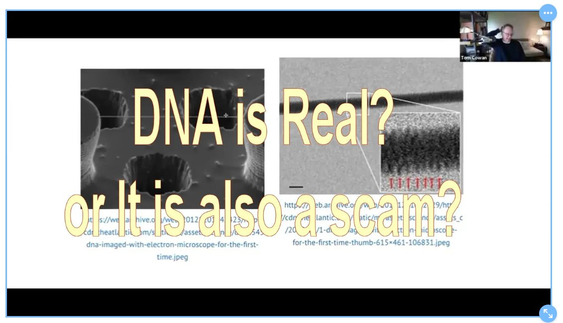 IS DNA REAL? OR IS IT ALSO A SCAM?