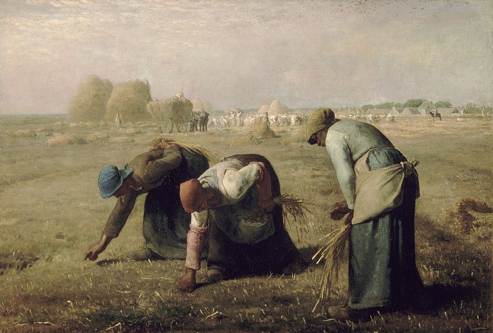 Rebuilding an Agricultural Commons