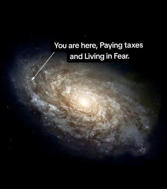 MEME DROP #288: You Are Here. 