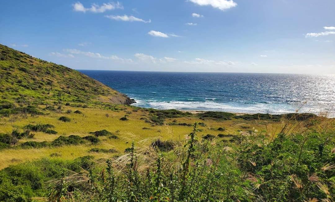 Expedition Eden: A New Medium for Nature Exploration in the U.S. Virgin Islands