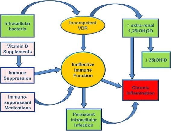 The vitamin D-ilemma Part 4