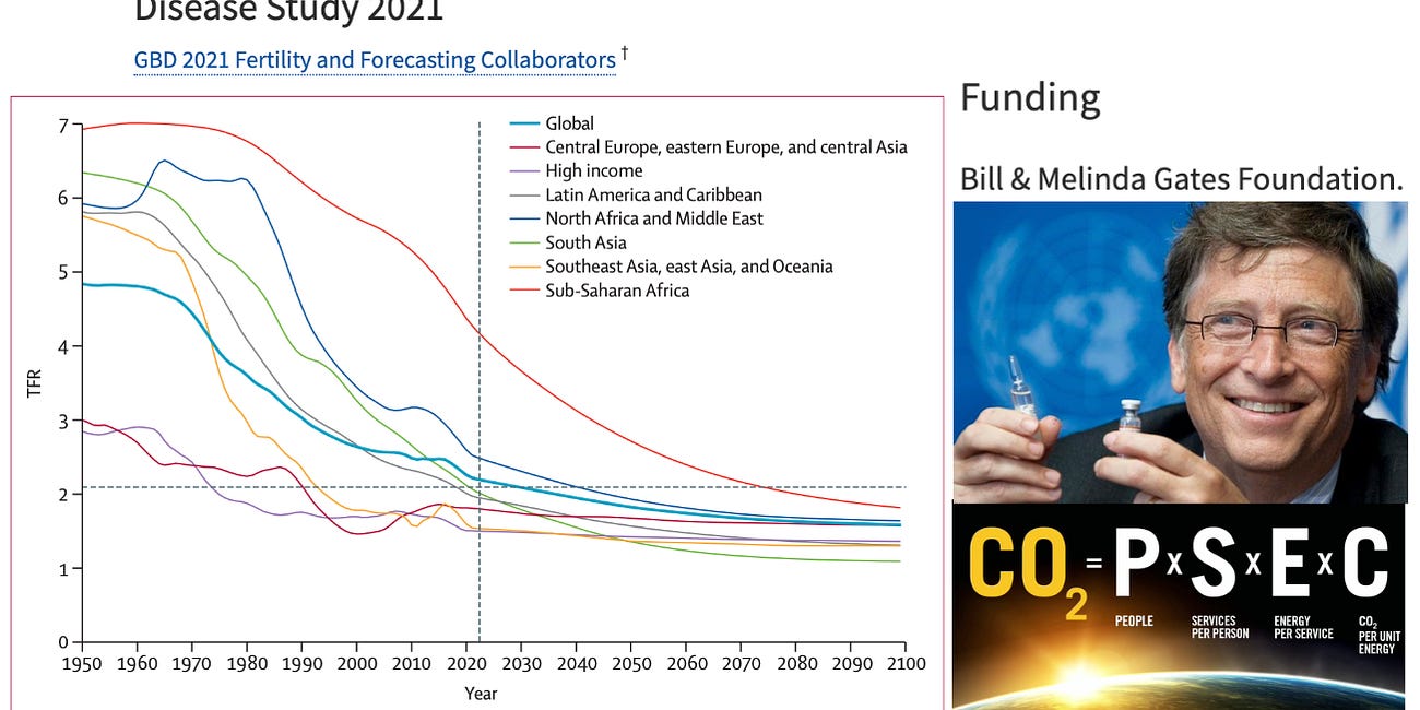 The Collapse of Global Fertility Rates: A Divided Vision for Humanity’s Future