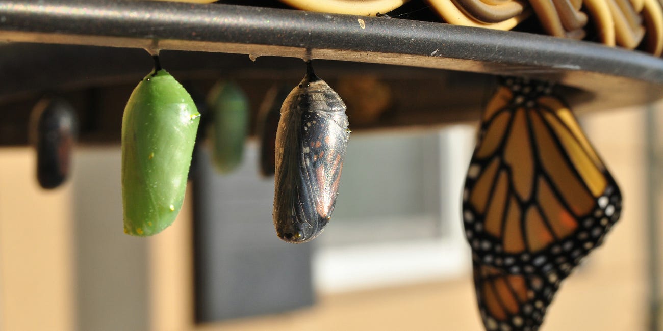 Code Smell 256 - Mutable Getters