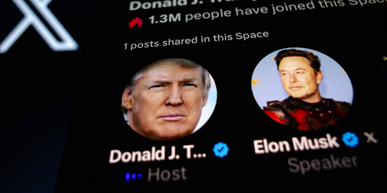 Musk als „Kürzer“ im Kabinett Trump?