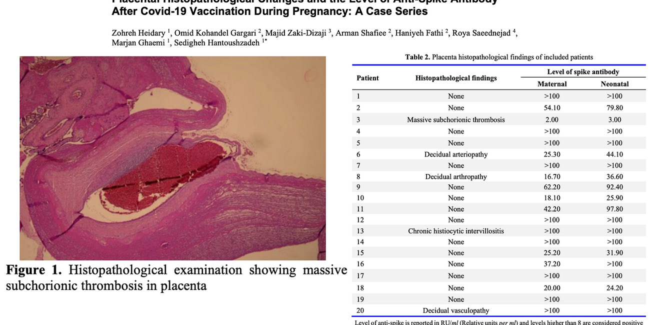 The Risks of COVID-19 "Vaccination" During Pregnancy: Evidence of Harm to Mothers and Developing Babies