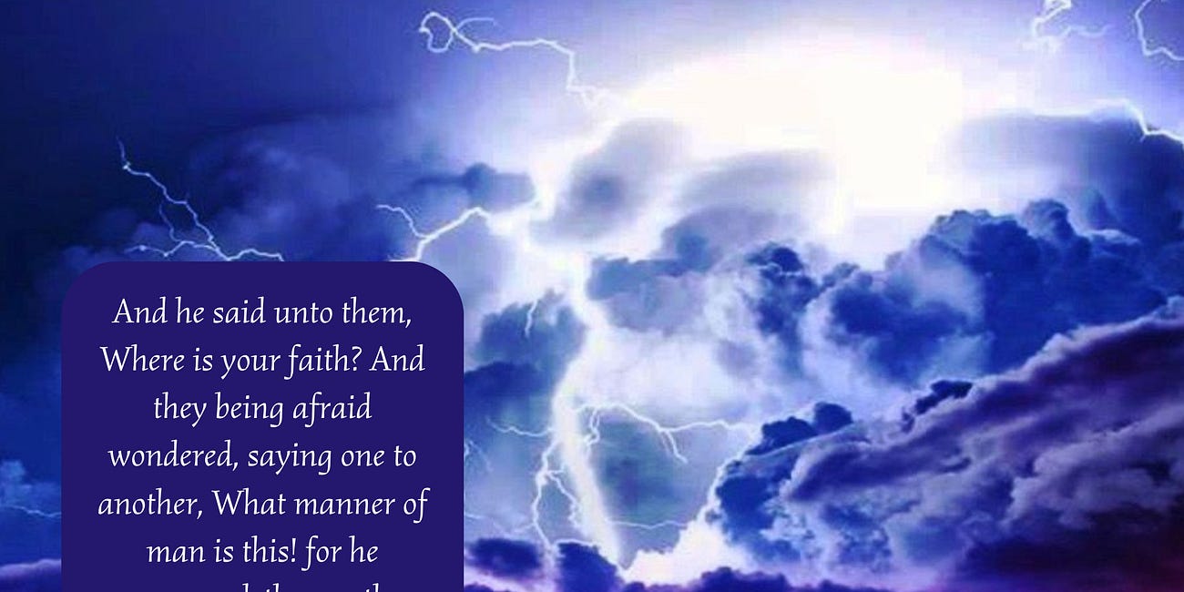 Safe In His Word • Daily Devo 27