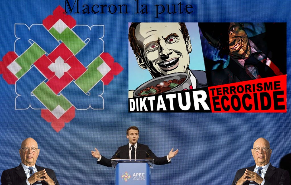 Kim Dotcom: I think you are a liar and a fraud Mr. Macron